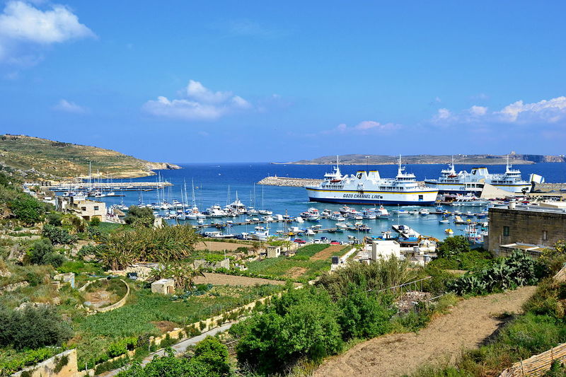 Imgarr Harbour - Gozo